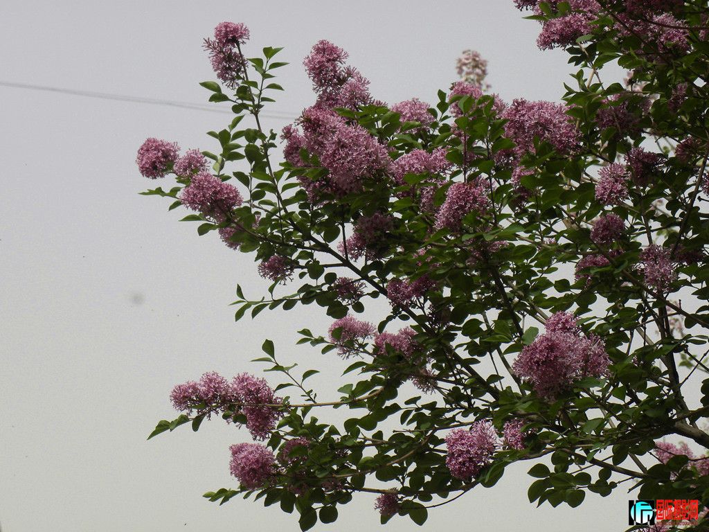 DSCN1620_.jpg