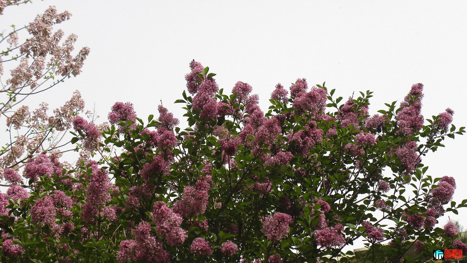 DSCN1618_.jpg