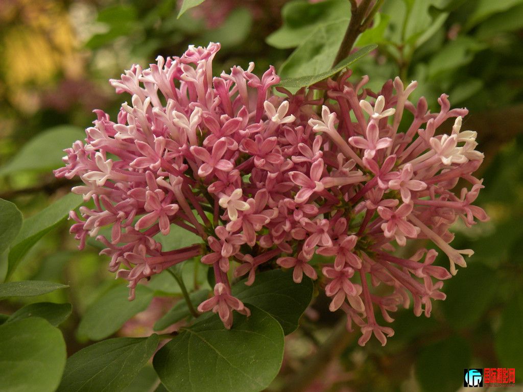 DSCN1577_.jpg