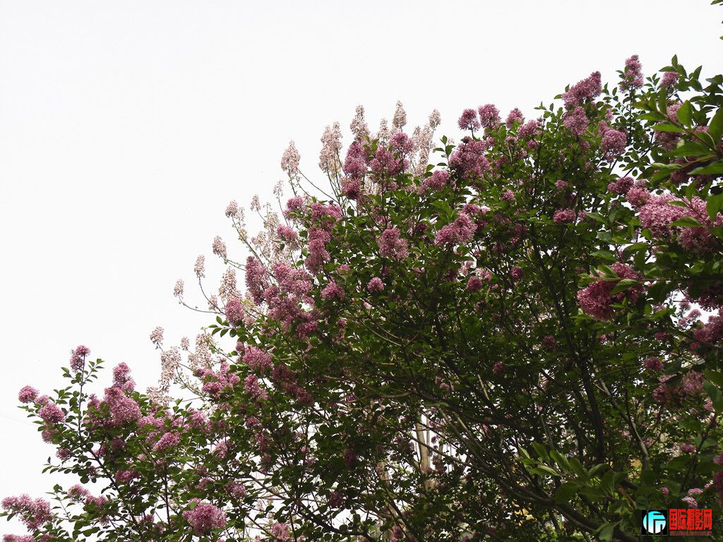 DSCN1619_.jpg