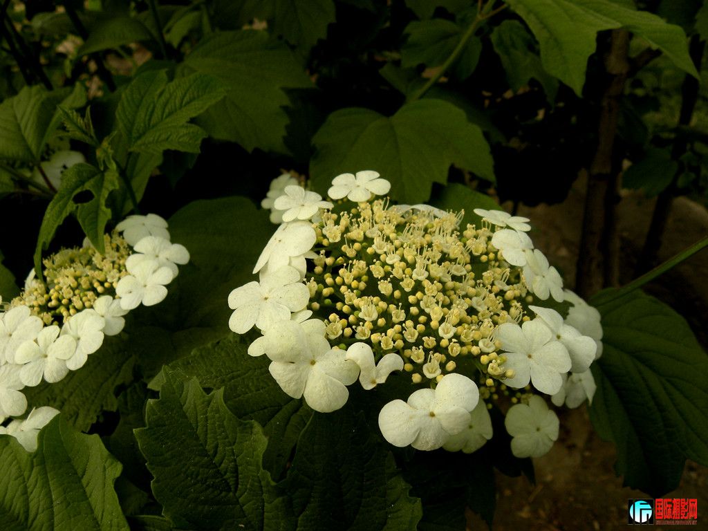 DSCN1565_.jpg