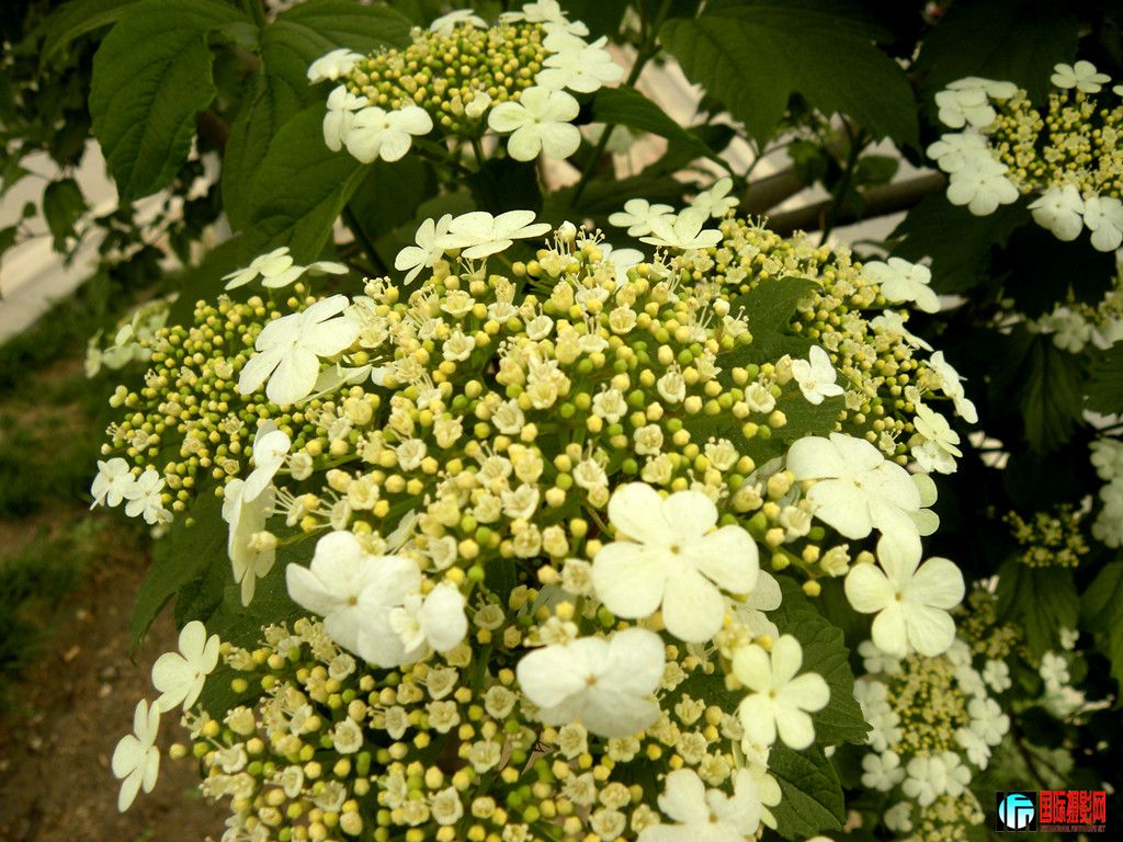DSCN1562_.jpg