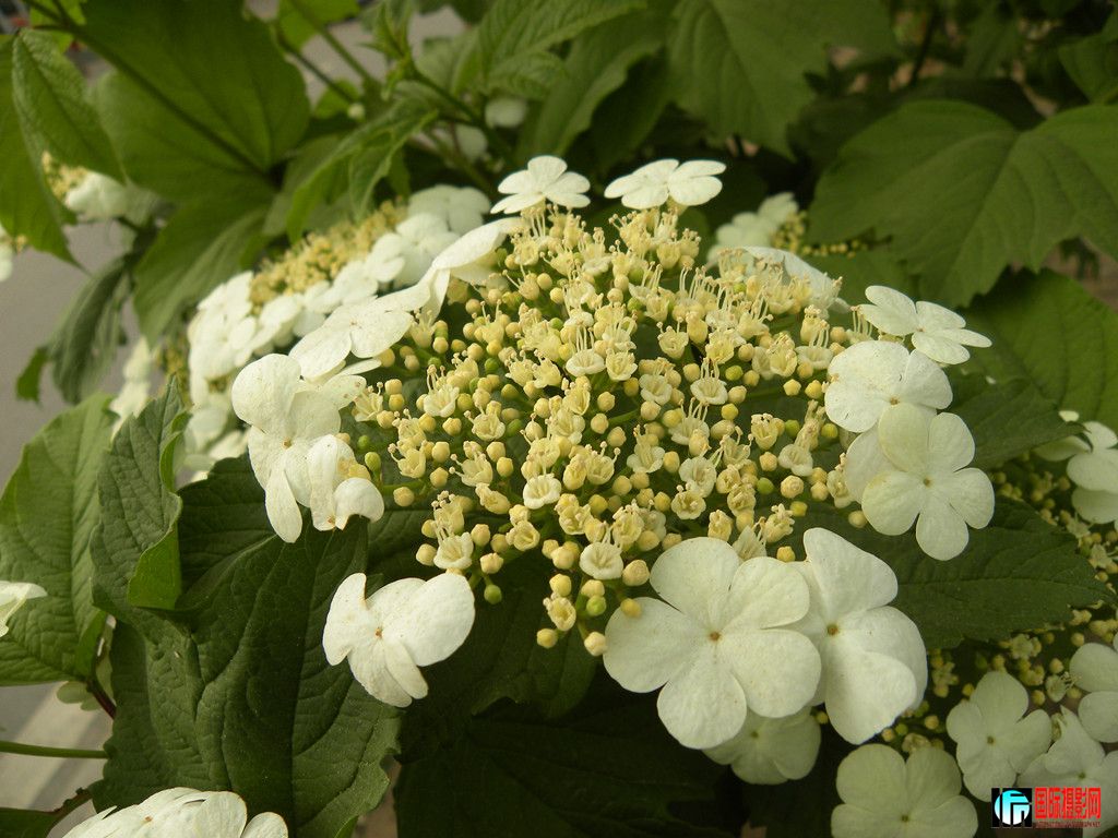 DSCN1554_.jpg