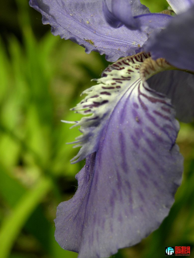 DSCN1614_.jpg