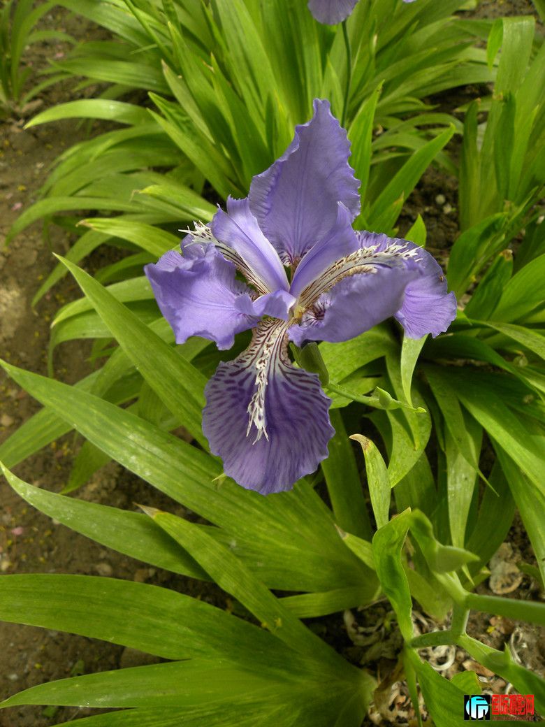 DSCN1609_.jpg