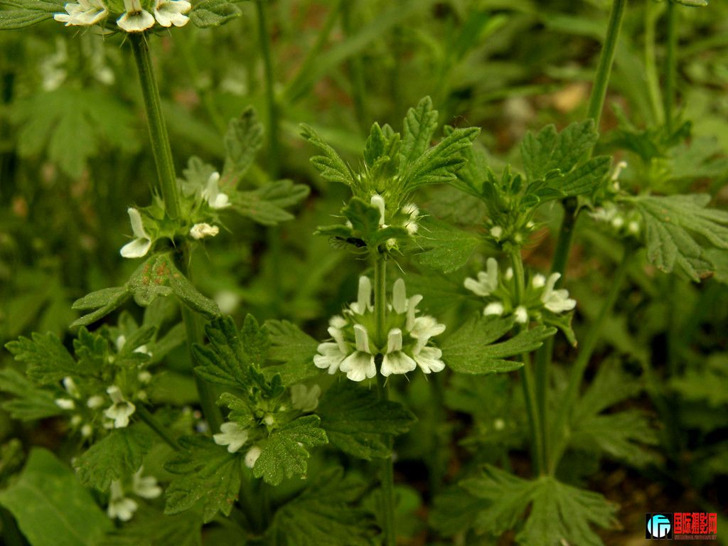 DSCN1639__.jpg