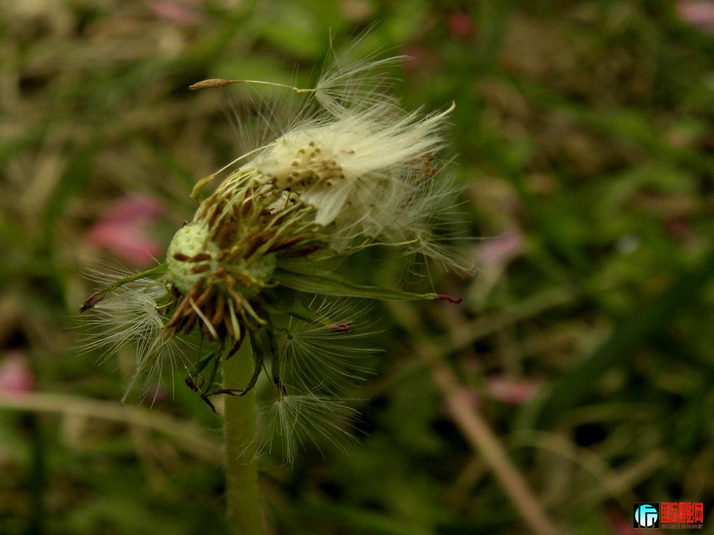 DSCN1653_.jpg