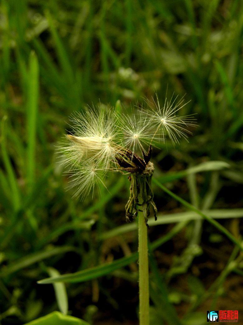 DSCN1679_.jpg