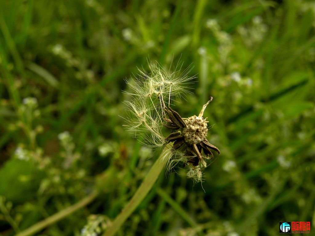 DSCN1676_.jpg