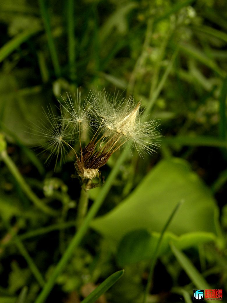 DSCN1681_.jpg