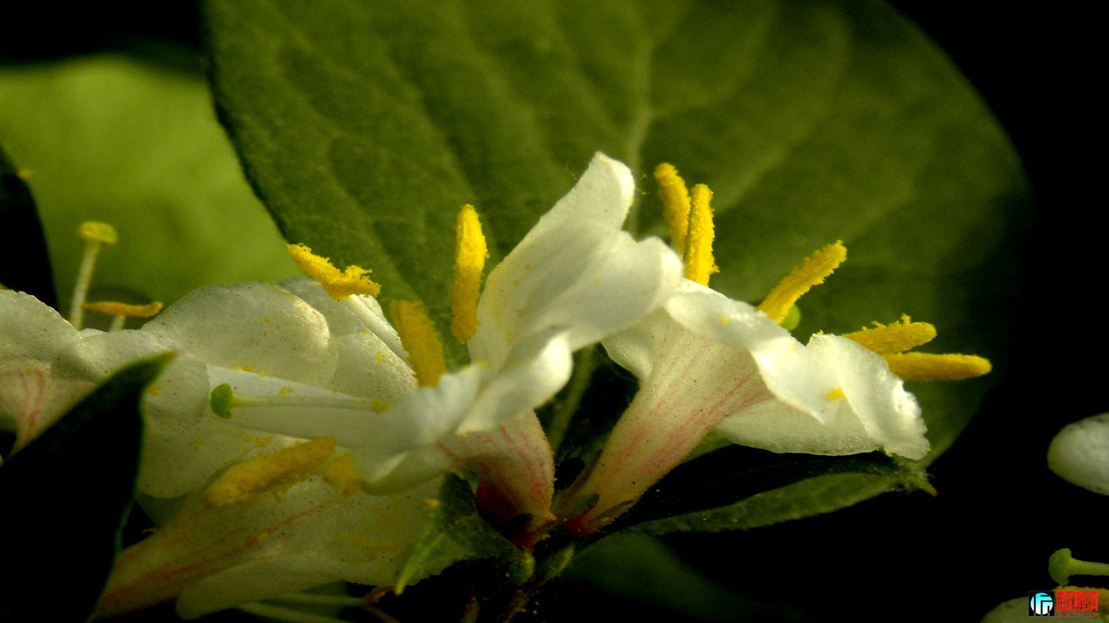 DSCN1733_.jpg