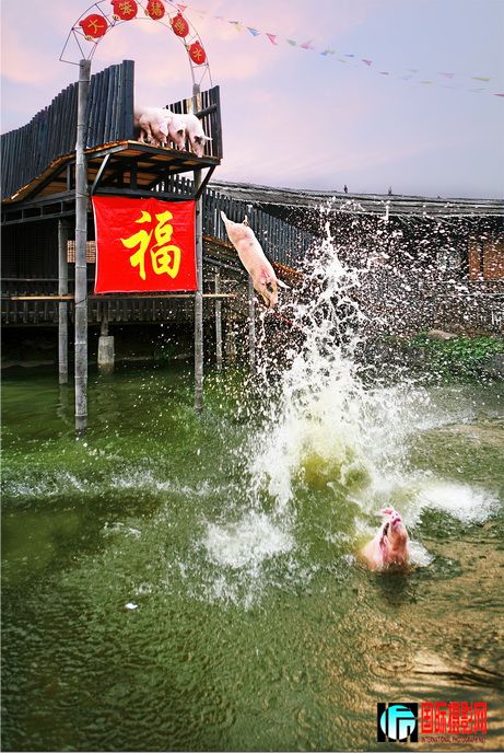 Ǹ.jpg