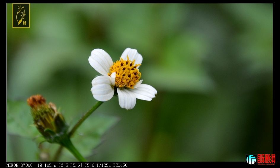 DSC_1700.jpg