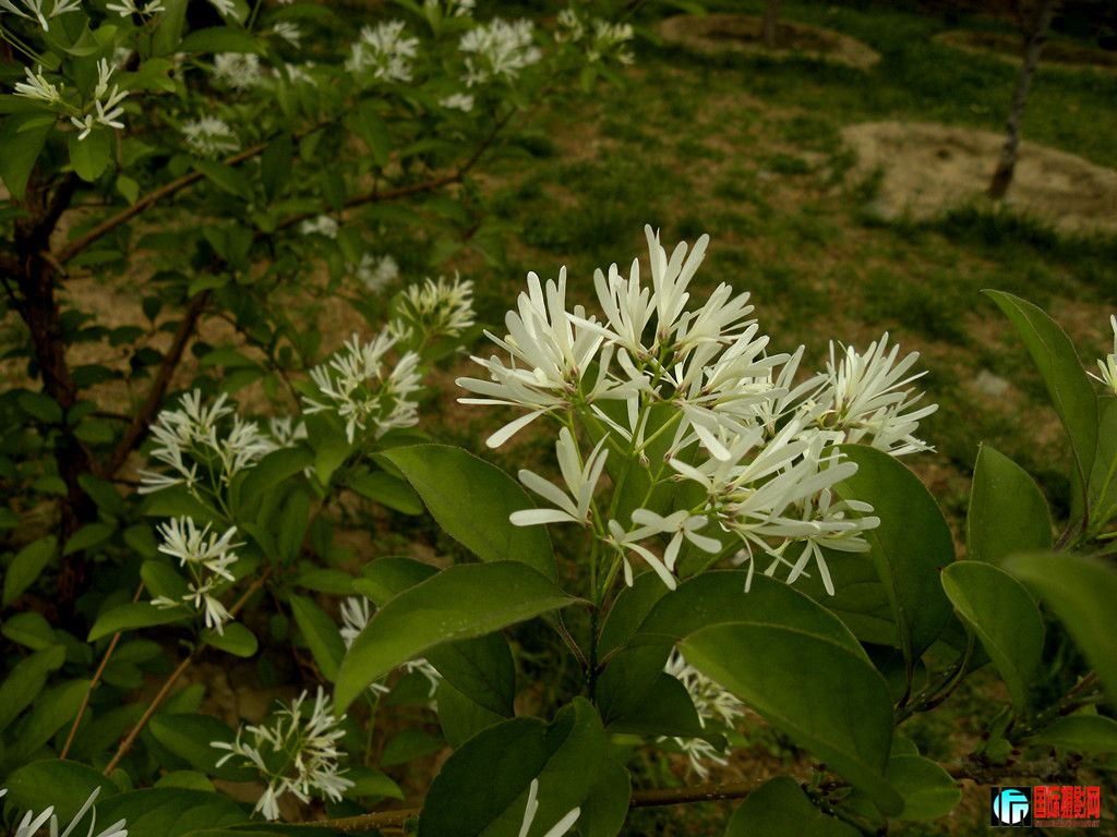 DSCN1851_.jpg
