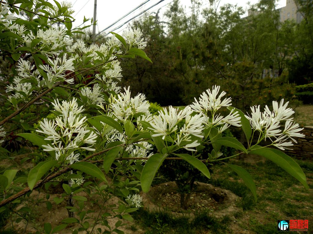 DSCN1849_.jpg