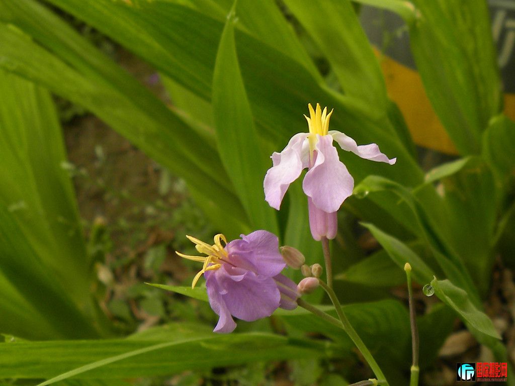 DSCN1861_.jpg
