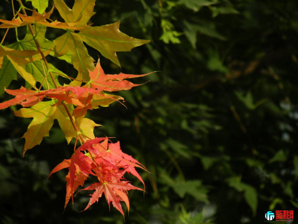 dscn5495_.jpg