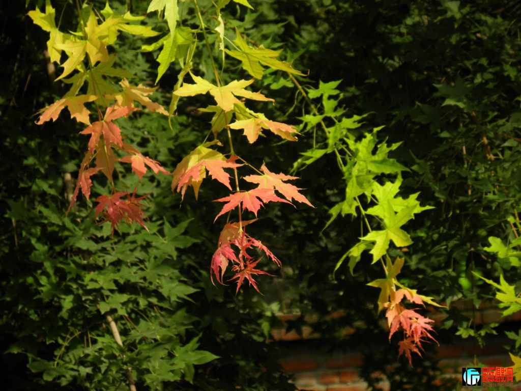 dscn5493_.jpg