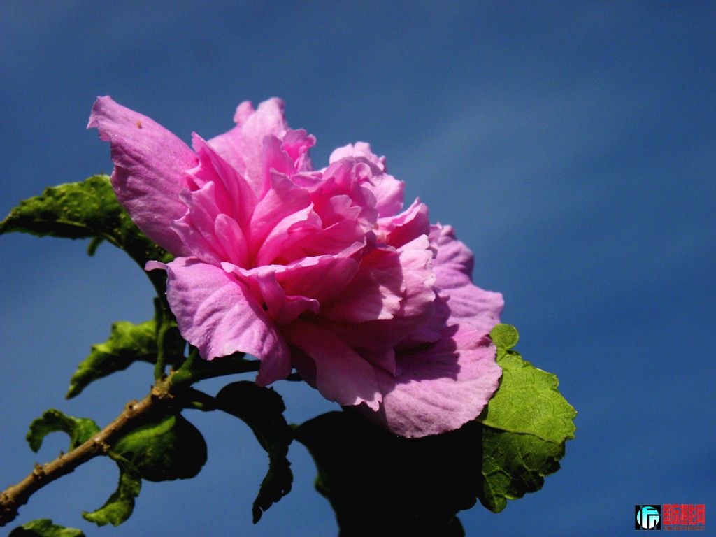 DSCN5522_.jpg