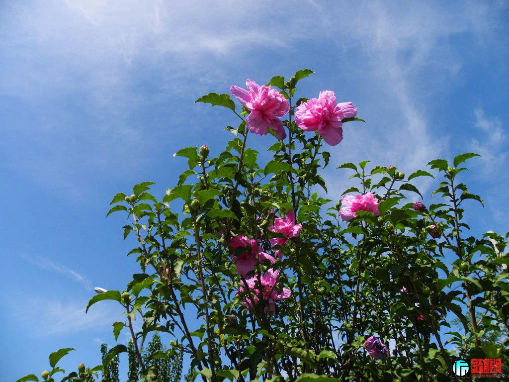 dscn5535_.jpg
