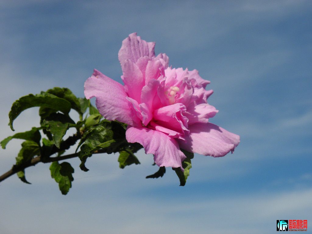 DSCN5503_.jpg
