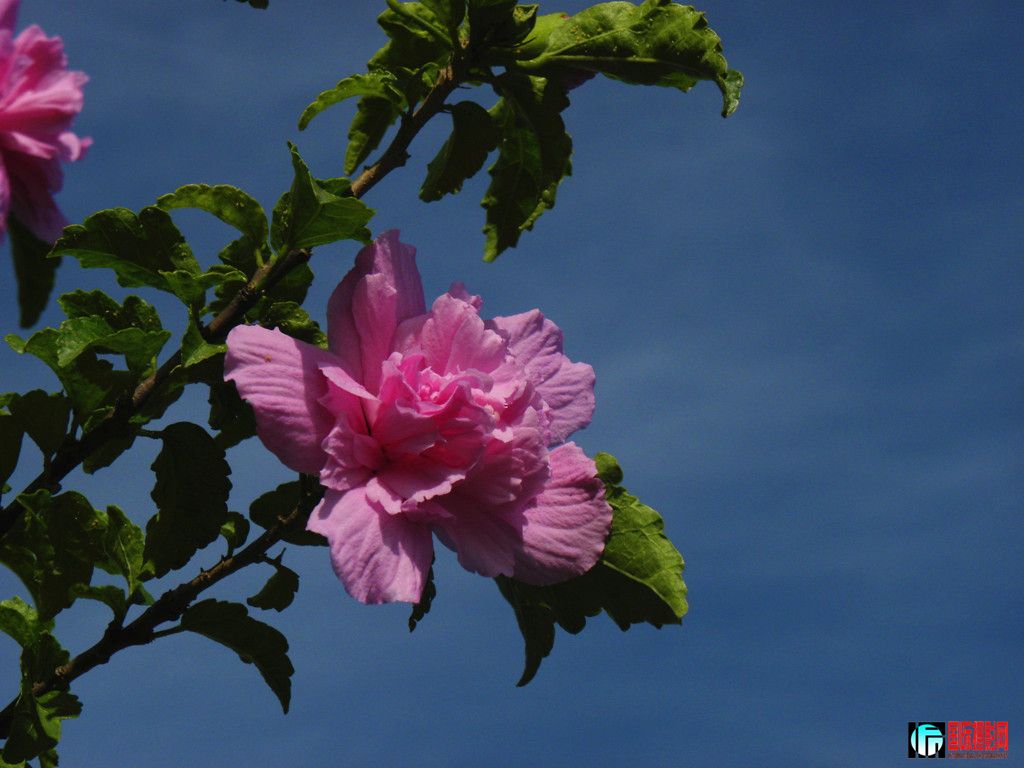 DSCN5524_.jpg