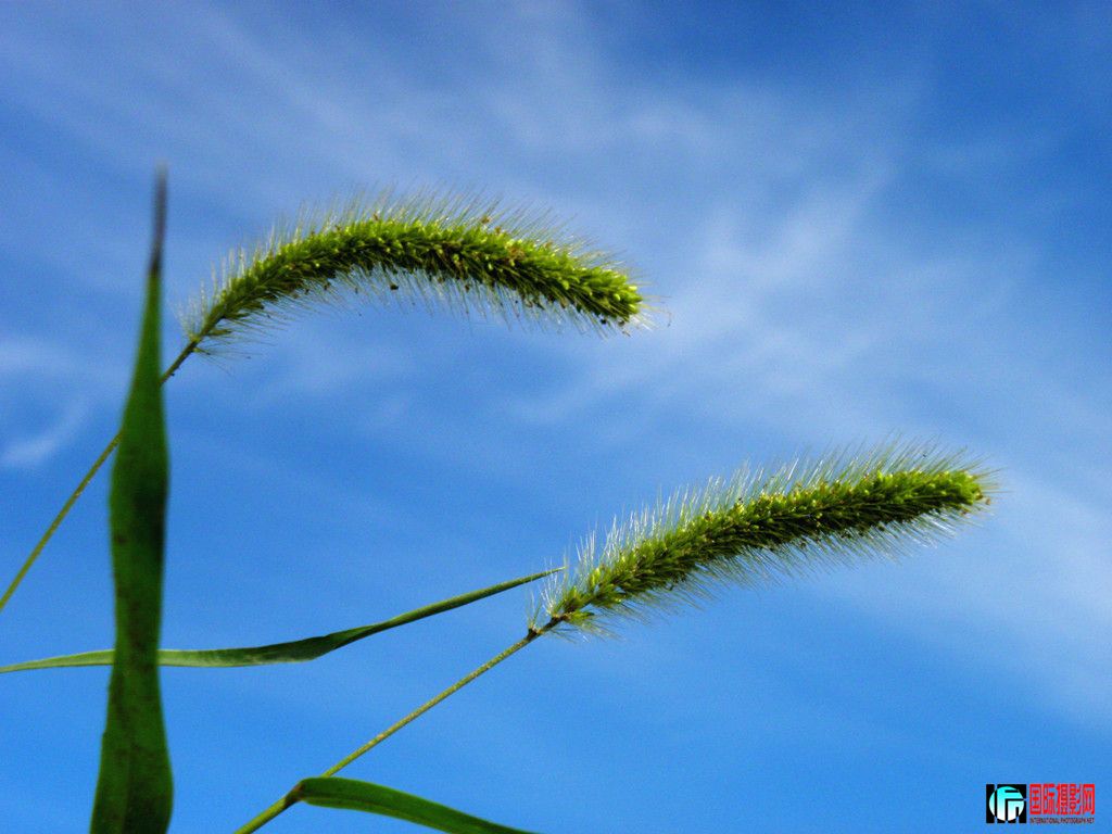 DSCN5514_.jpg