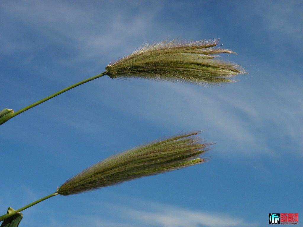 DSCN5513_.jpg