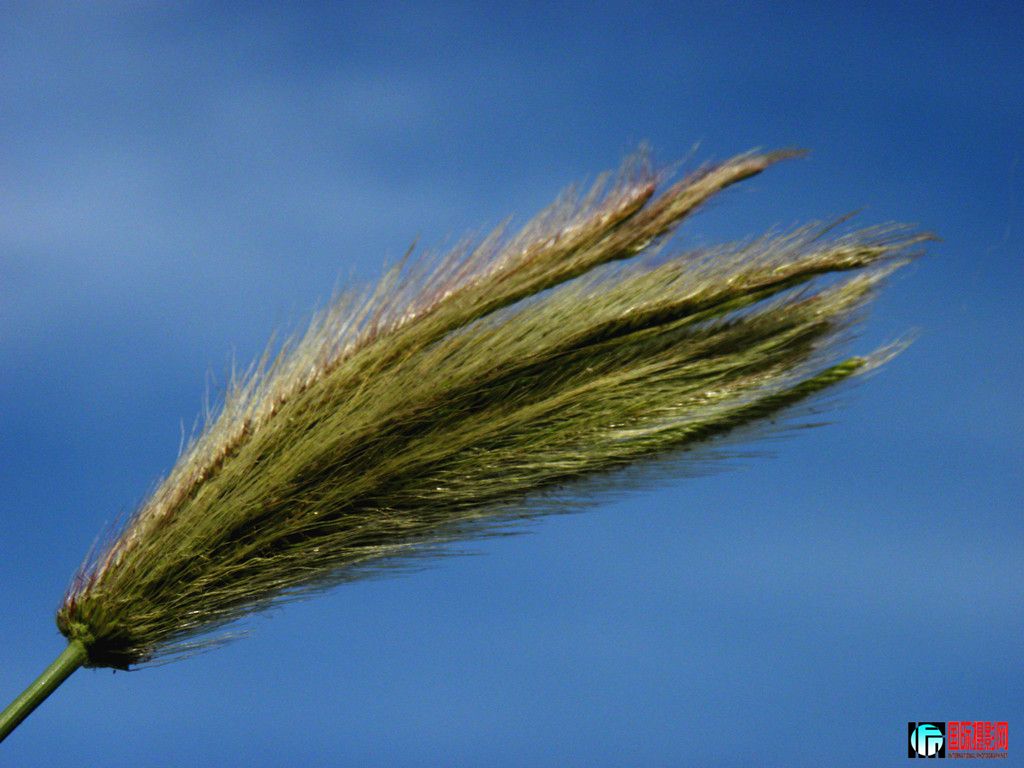 DSCN5509_.jpg