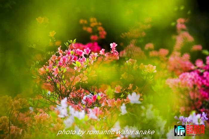 DSC_9396.jpg