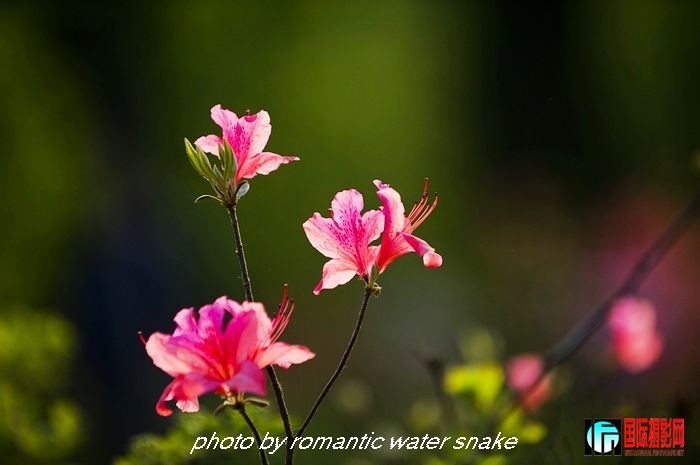 DSC_9375.jpg