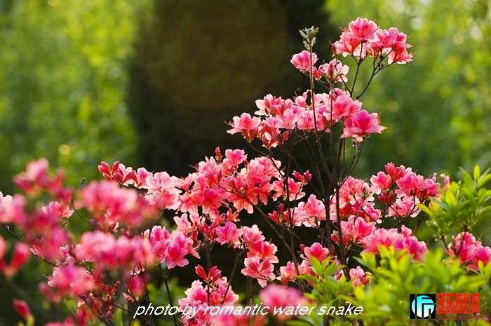 DSC_9383.jpg