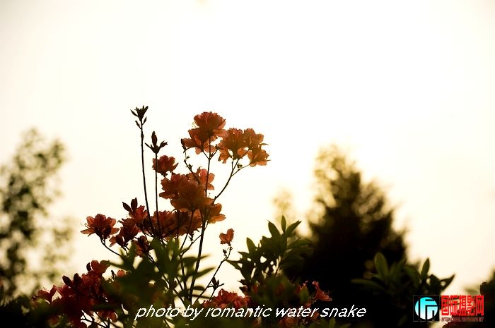 DSC_9386.jpg