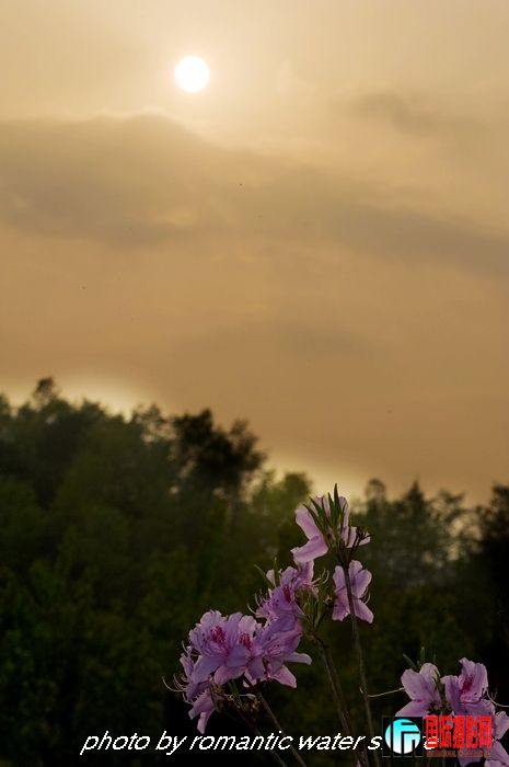 DSC_9413.jpg