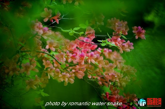 DSC_9438.jpg