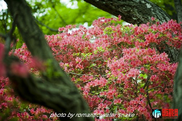 DSC_9439.jpg