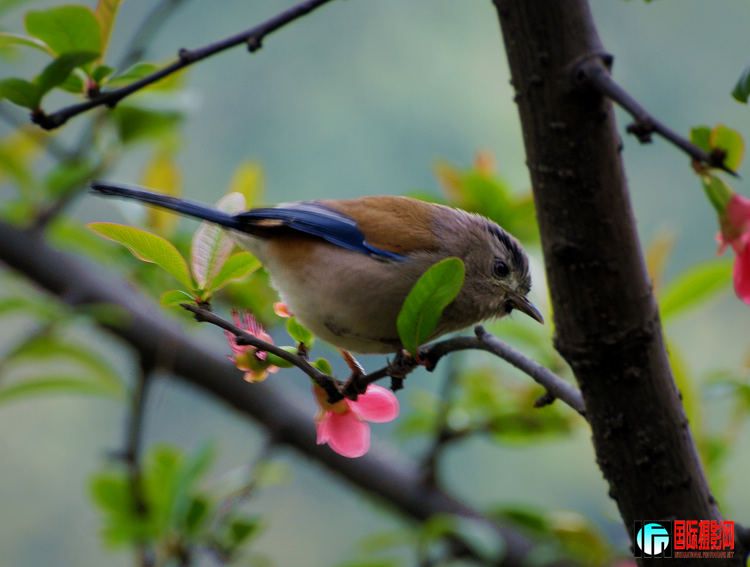 DSC_5420mx.jpg