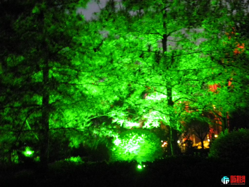 DSCN2419_.jpg