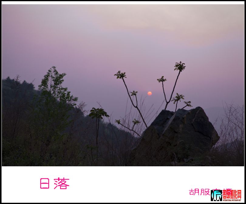 _MG_0786.jpg