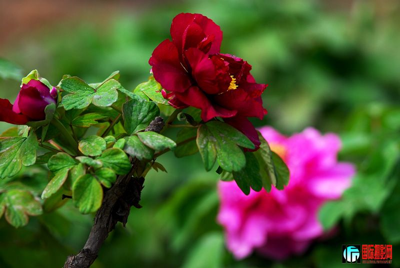 DSC_2844.jpg