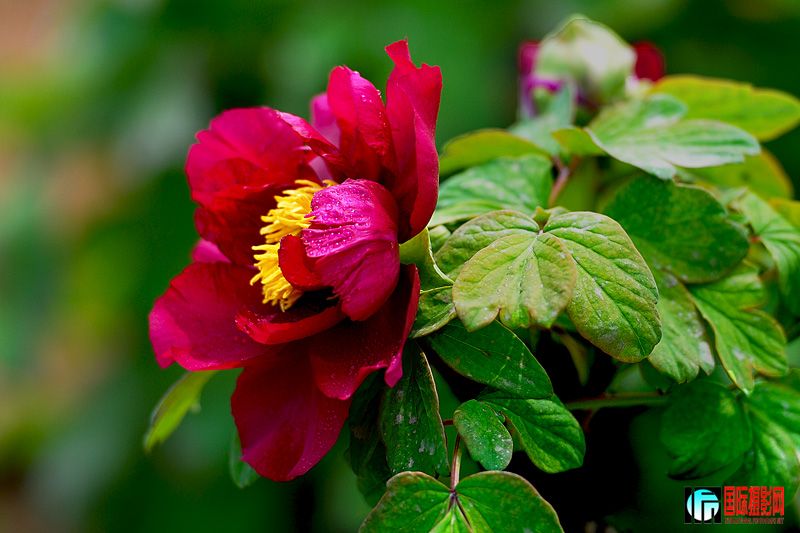 DSC_2855.jpg