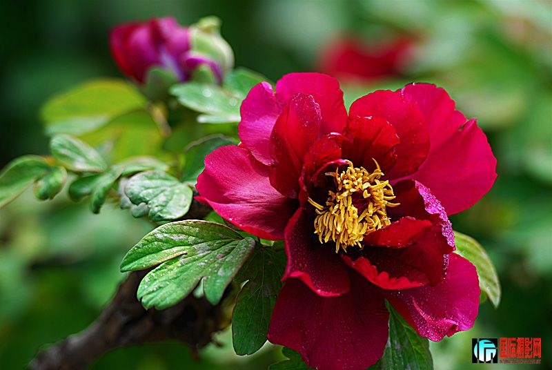 DSC_2851.jpg