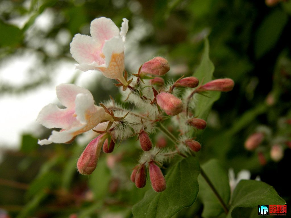 DSCN2286_.jpg