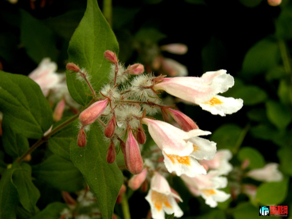 DSCN2290_.jpg