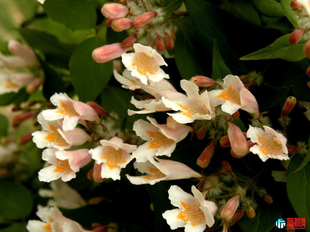 DSCN2288_.jpg