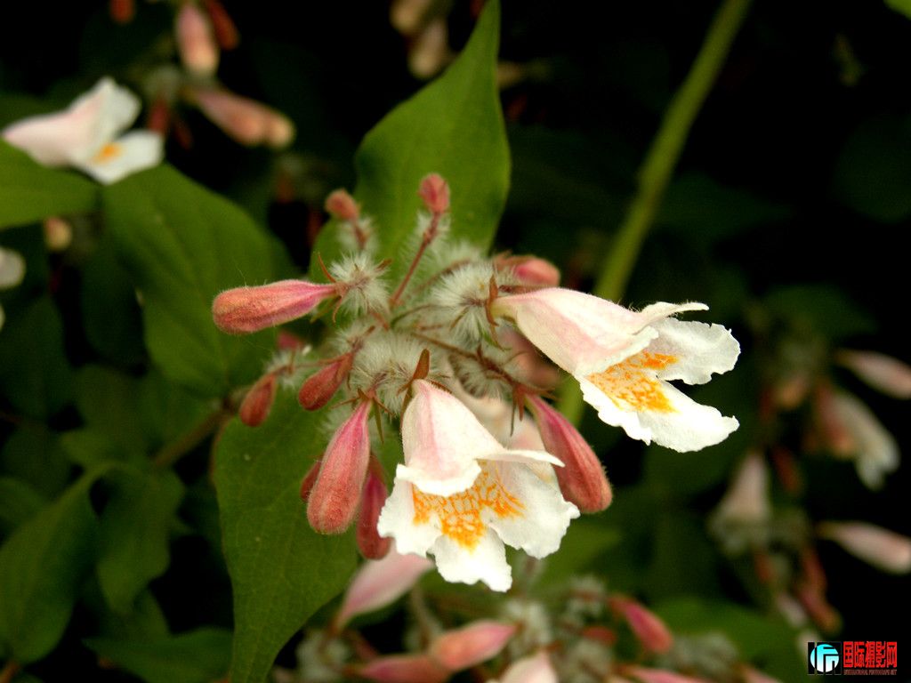 DSCN2289_.jpg