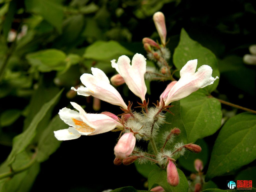 DSCN2294_.jpg