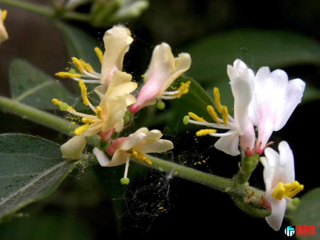 DSCN1957_.jpg