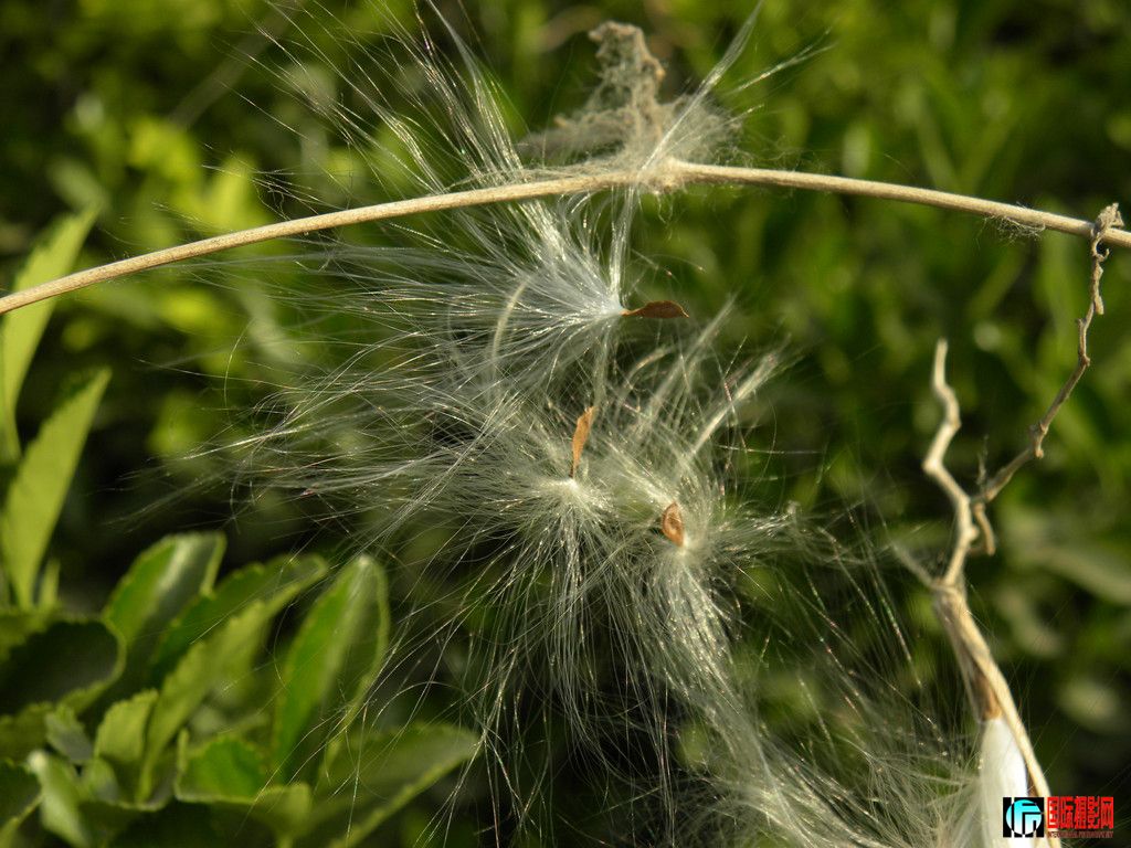 DSCN2605_.jpg