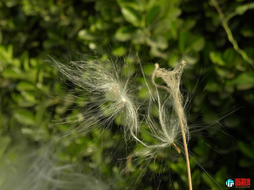 DSCN2620_.jpg